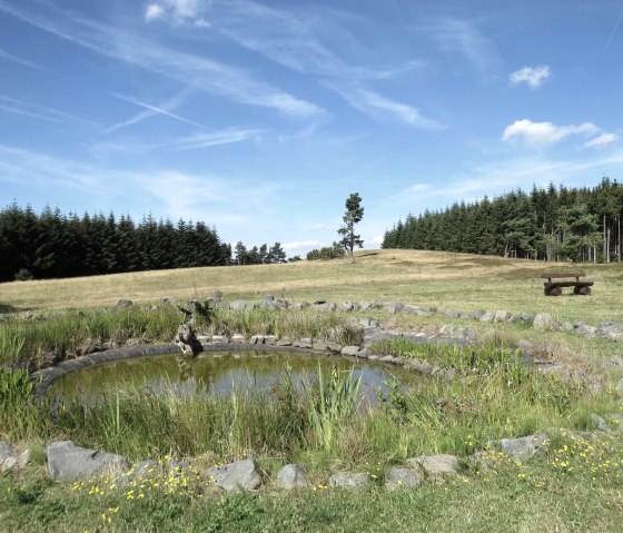 Biotop Heidetümpel auf dem Kindgen, © Foto: Svenja Schulze-Entrup, Quelle: Touristik-Büro Vordereifel