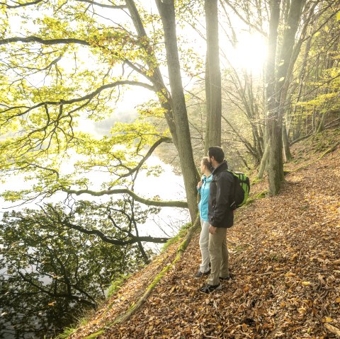 Wandern durch die Wälder der Eifel, © Eifel Tourismus GmbH, D. Ketz