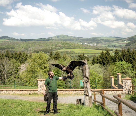 Flugschau im Wild- und Erlebnispark Daun, © Eifel Tourismus GmbH, Dominik Ketz