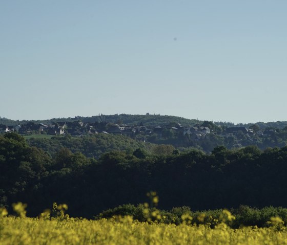 Wiesbachtalweg in Weiler/ Eifel, © Laura Rinneburger