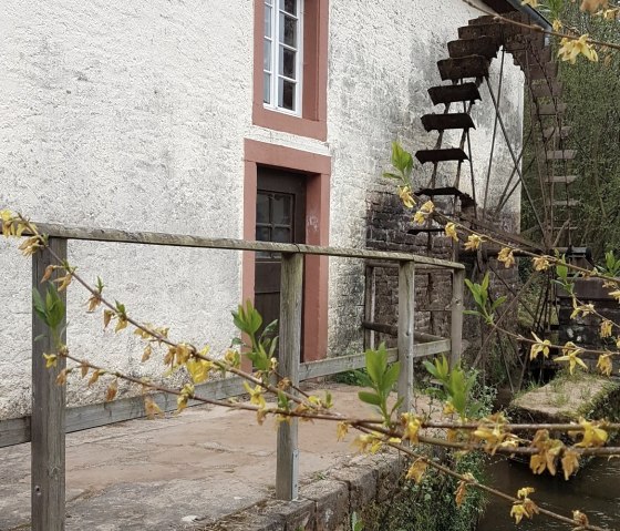 Ölmühle mit Wasserrad, © Tourist-Information Wittlich Stadt & Land