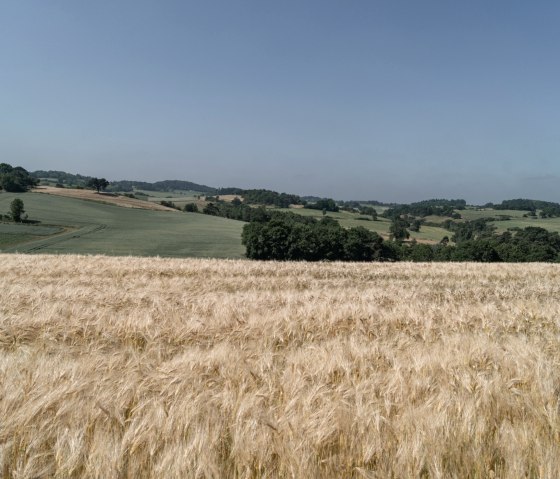 Eifelspur Kräuterpfad - Blick über Felder, © Nordeifel Tourismus GmbH