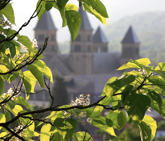 Felsenweg 4 - Ralingen-Rosport, © Naturpark Südeifel, C. Schleder