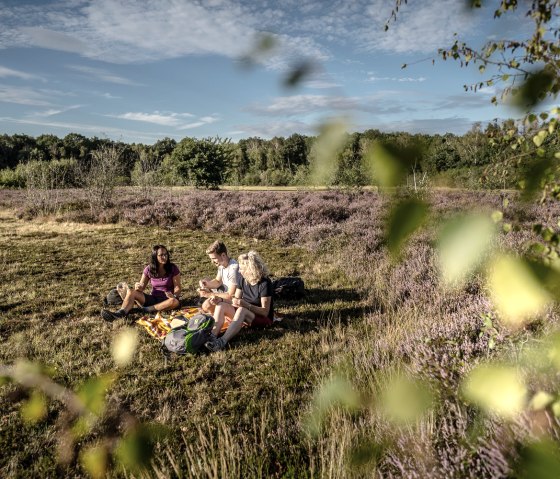 Picknick in der Drover Heide., © Dennis Stratmann | Kreis Düren