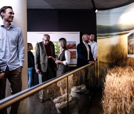 Bitburger Erlebniswelt - Gerste, © Bitburger Braugruppe GmbH