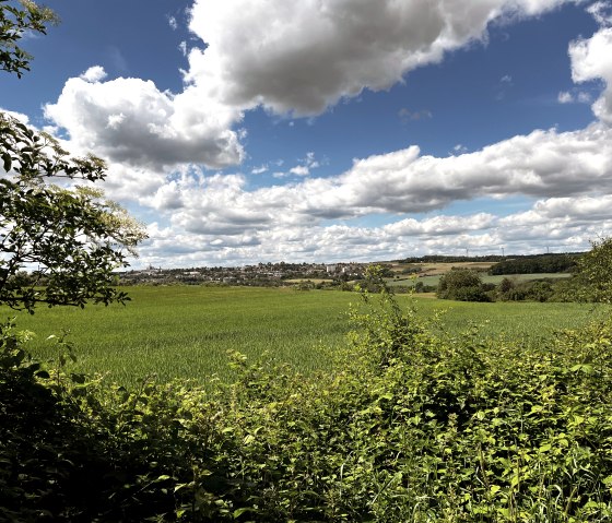 Ausblick auf der RWE-Route, © TI Bitburger Land