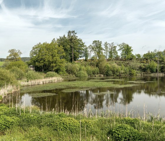 Vulkanpfad, Eichholzmaar, © Eifel Tourismus GmbH, Dominik Ketz