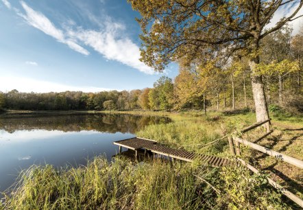 Vulkamaar-Pfad: Windsborn-Kratersee, © Eifel Tourismus GmbH - D. Ketz