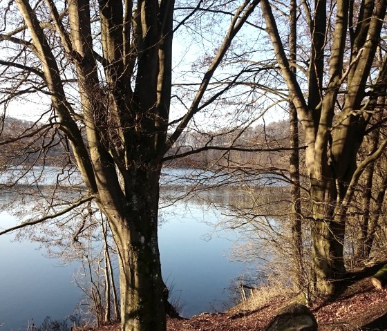 Pulvermaar en automne, © Gesundland Vulkaneifel GmbH