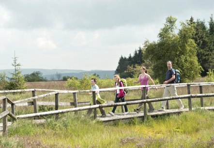 Hohes Venn bei Botrange, © vennbahn.eu