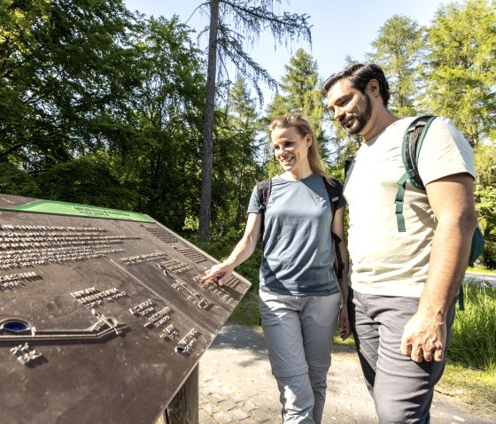 Barrierefreie Informationen im Natur-Erlebnisraum Wilder Kermeter, © Eifel Tourismus GmbH, Dominik Ketz