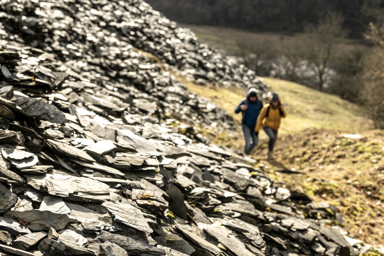 Wandern entlang der Schieferhalden im Kaulenbachtal, © Eifel Tourismus GmbH, Dominik Ketz