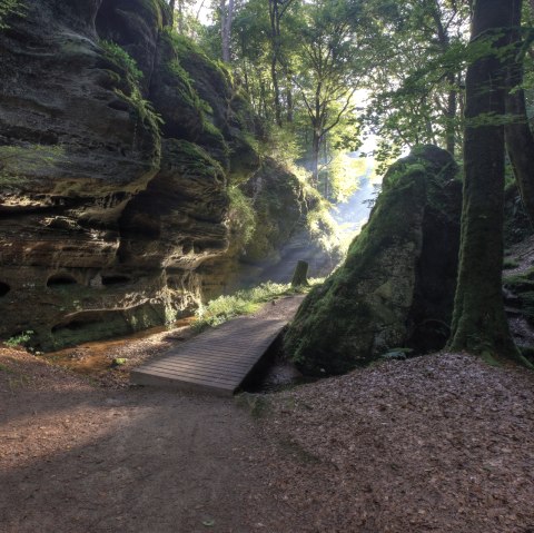 Felsen im NaturWanderPark delux, © Naturpark Südeifel / C. Schleder