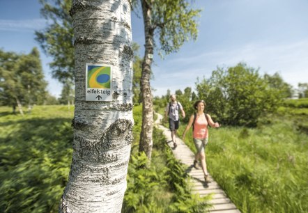 Wanderweg Eifelsteig: Auf der Wandertour durch die Eifel geht es auch auf Stegen durch die Struffelt Heide., © Eifel Tourismus GmbH - D. Ketz