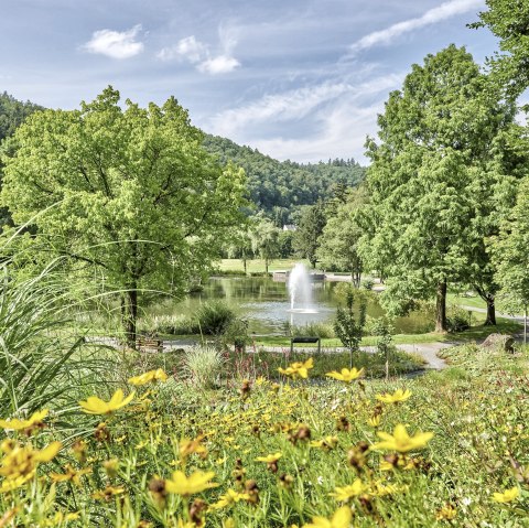 Kurpark im Herbst, © Rheinland-Pfalz Tourismus GmbH/F. Trykowski