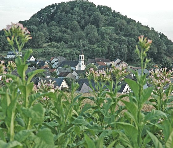 Neuerburger Kopf, © Tourist Information Wittlich Stadt & Land