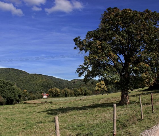 Blick über Felder und Wiesen