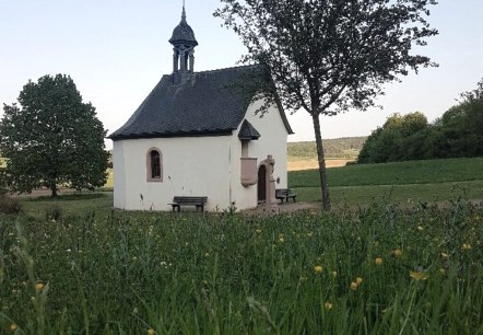 Fintenkapelle mit Blumenwiese, © Tourist-Information Wittlich Stadt & Land