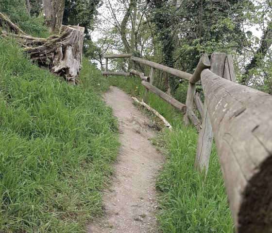 Wanderweg zur Hütte, © Tourist Information Wittlich Stadt & Land