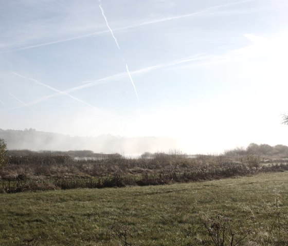 Jungferweiher in den Morgenstunden, © GesundLand Vulkaneifel