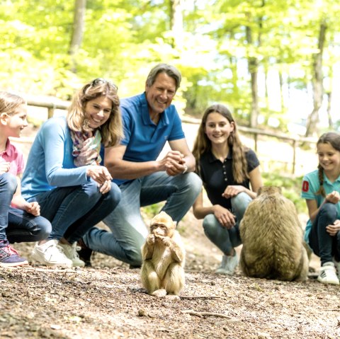 Affen füttern im Wild- und Erlebnispark Daun, © Eifel Tourismus GmbH, Dominik Ketz