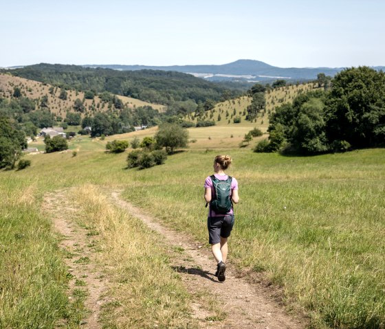 EifelSpur Toskana der Eifel, weite Ausblick in die Eifel, © Eifel Tourismus GmbH, Dominik Ketz