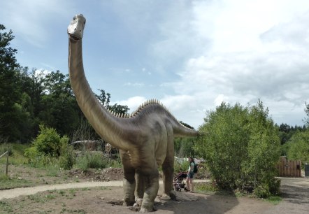 Dinosaurierpark Teufelsschlucht - Diplodocus, © Dinosaurierpark Teufelsschlucht