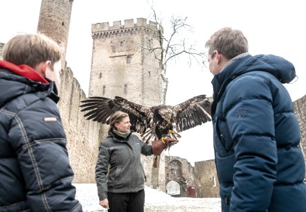 Adler- und Wolfspark Kasselburg, © Eifel Tourismus GmbH, Dominik Ketz