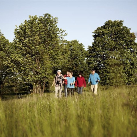 Wanderung, © GesundLand Vulkaneifel GmbH