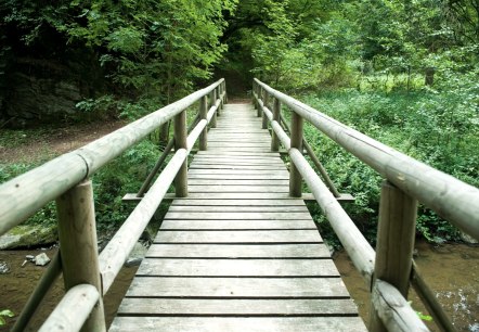 Brücke am Lieserpfad in der Eifel, © GesundLand Vulkaneifel / D. Ketz