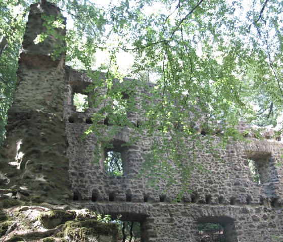 Burgruine Nerother Kopf, © Martina Schenk