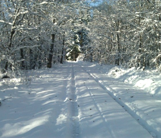 Paysage hivernal