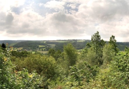 Grünenthal in Monschau-Imgenbroich, © Naturpark Nord Eifel e.V