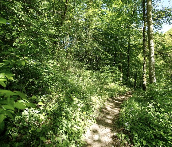 Unterwegs auf schmalen Pfaden, © Laura Rinneburger