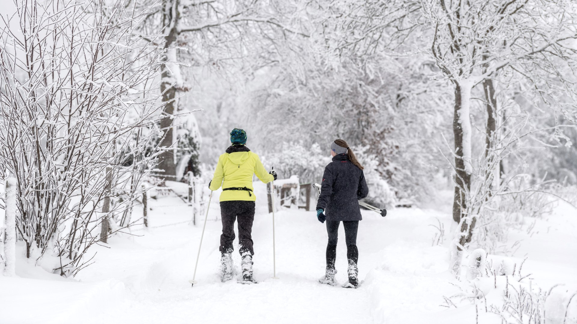 Schneewandern, © Eifel Tourismus GmbH, Dominik Ketz