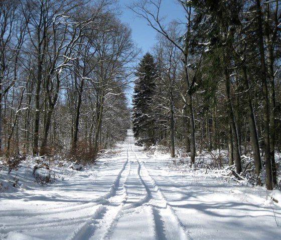 Winter in Lissendorf, © Gertrud Wieser