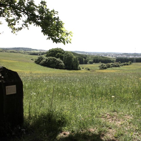 Erlebnispunkt 6 "Peinloch", © GesundLand Vulkaneifel GmbH