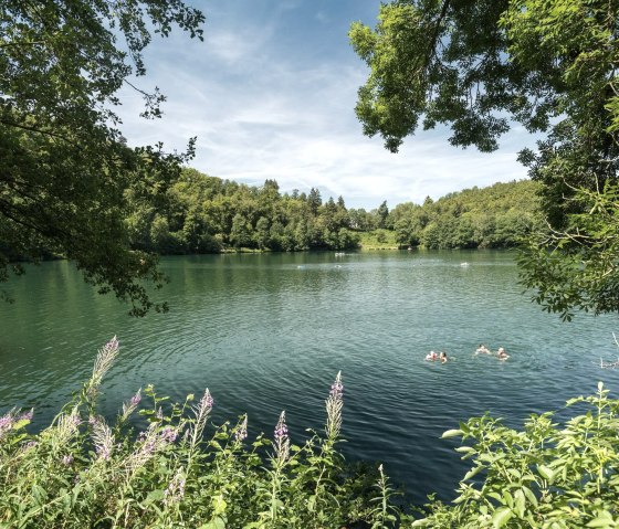 Schwimmen im Naturfreibad Gemündener Maar, © Rheinland-Pfalz Tourismus GmbH, D. Ketz