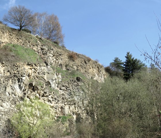 Die Ahl und seine Natur, © Foto: Svenja Schulze-Entrup, Quelle: Touristik-Büro Vordereifel