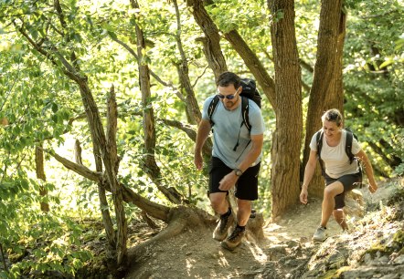 Waldpfad Etappe 5 AhrSteig, © Ahrtaltourismus, Dominik Ketz