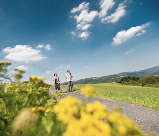 Höhenzug der  Dümpelhardt, © Ahrtaltourismus e.V.,Dominik Ketz