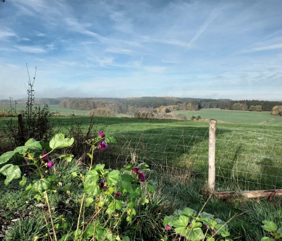 Ausblick Wiesen und Wälder, © Sweco GmbH