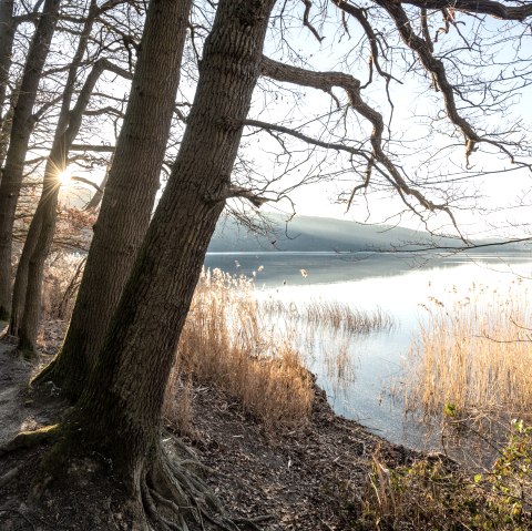 Stimmungsvolle Momente am Laacher See, © Eifel Tourismus GmbH, D. Ketz