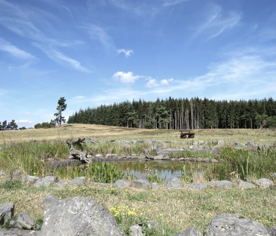 Der "Heidetümpel" auf dem Kindgen, © Foto: Svenja Schulze-Entrup, Quelle: Touristik-Büro Vordereifel