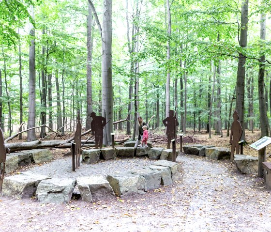 Der Wilde Weg, Skulpturen im Buchenwald, © Naturpark Nordeifel, Fotoagentur Wolf, freiheitswerke