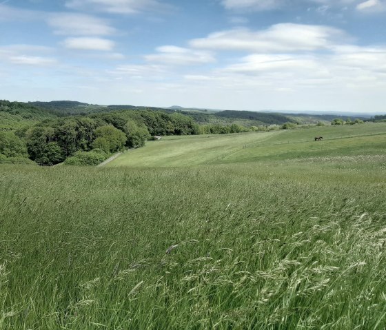 Eifel-Blick Nonnenbacher Weg, © Gemeinde Blankenheim