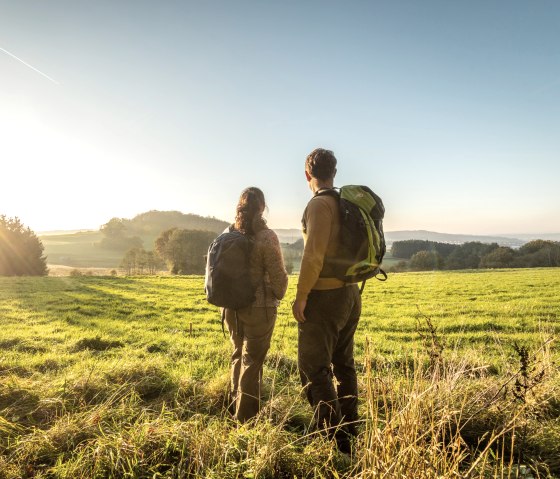 Herbstsonne beim Wandern rund um den Hochkelberg, © Eifel Tourismus GmbH, D. Ketz