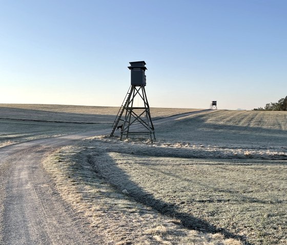 Hochsitz auf Hochplateau von Dorsel