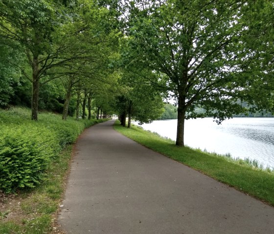 Promenade, © Naturpark Südeifel, Indra Schaperdoth