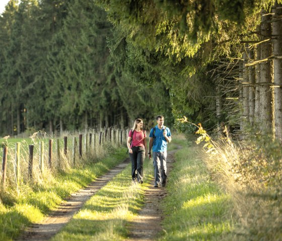 Wandern auf der EifelSchleife Adlerblick, © Eifel Tourismus GmbH, Dominik Ketz